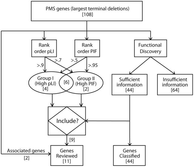 https://cdn.ncbi.nlm.nih.gov/pmc/blobs/04e7/5838980/3467161b119b/41431_2017_42_Fig1_HTML.jpg