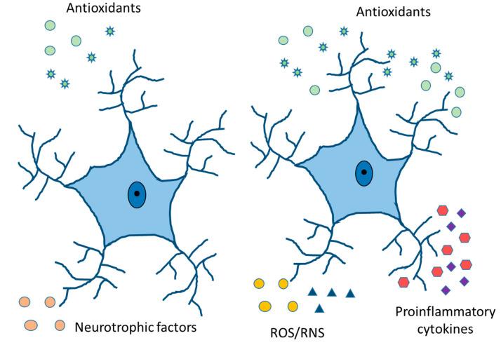 https://cdn.ncbi.nlm.nih.gov/pmc/blobs/04ea/10179527/cec4005e7856/ijms-24-08434-g005.jpg