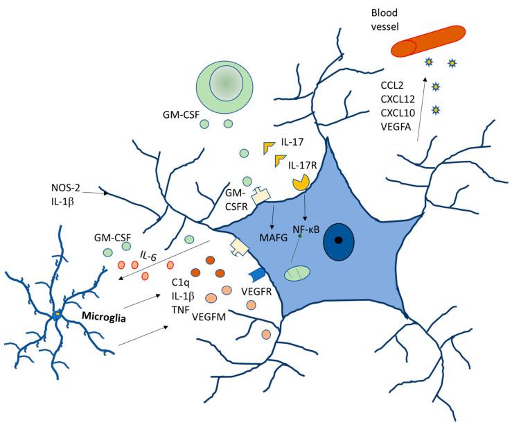 https://cdn.ncbi.nlm.nih.gov/pmc/blobs/04ea/10179527/d2ad90402d8d/ijms-24-08434-g004.jpg