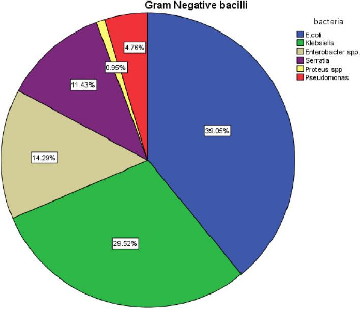 https://cdn.ncbi.nlm.nih.gov/pmc/blobs/04ea/10893665/13de4ad09985/13052_2024_1599_Fig1_HTML.jpg