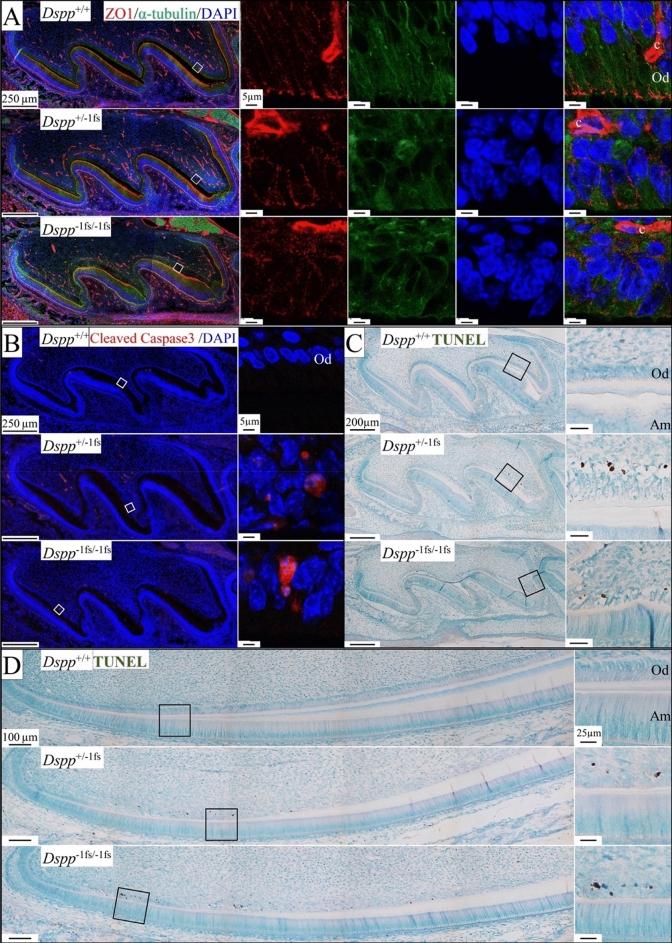 https://cdn.ncbi.nlm.nih.gov/pmc/blobs/04eb/10115861/9a40af016708/41598_2023_33362_Fig3_HTML.jpg