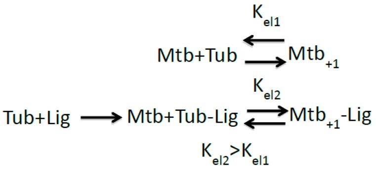 https://cdn.ncbi.nlm.nih.gov/pmc/blobs/04ed/6471726/a4064e26af34/ijms-20-01392-sch002.jpg