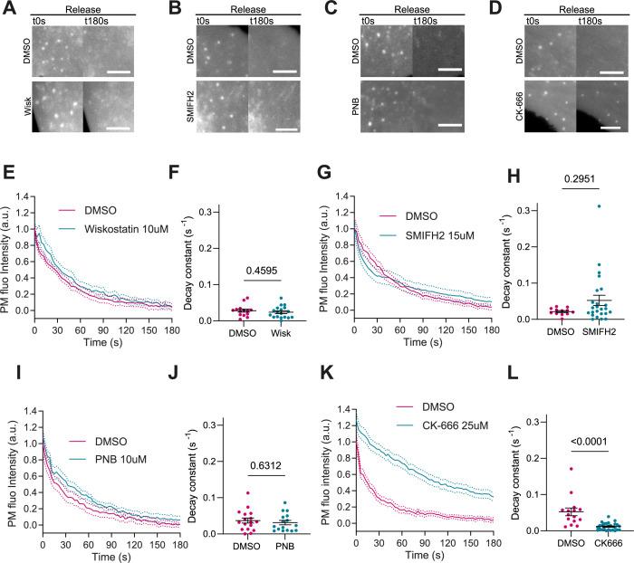 https://cdn.ncbi.nlm.nih.gov/pmc/blobs/04ee/10569792/0474511f8162/elife-72316-fig4.jpg