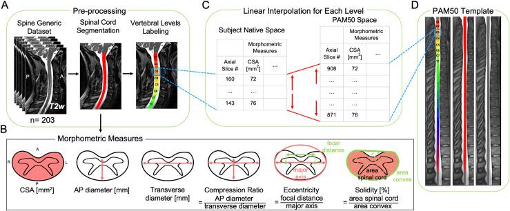 https://cdn.ncbi.nlm.nih.gov/pmc/blobs/04ee/12224433/e49e6c952e42/imag_a_00075_fig1.jpg