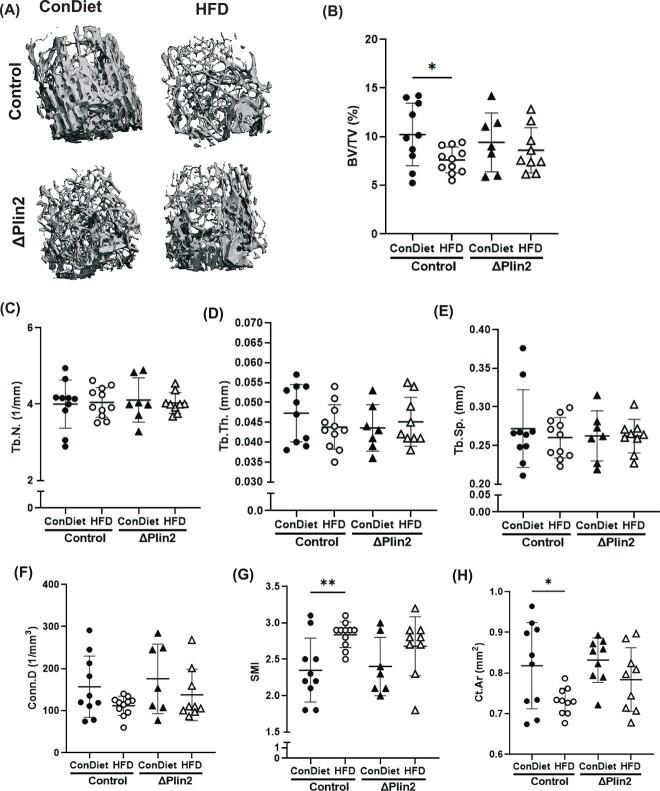 https://cdn.ncbi.nlm.nih.gov/pmc/blobs/04ef/11789392/167871b01506/zjae195f5.jpg