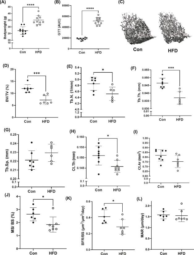 https://cdn.ncbi.nlm.nih.gov/pmc/blobs/04ef/11789392/930354da2970/zjae195f1.jpg