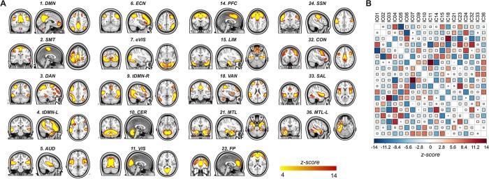 https://cdn.ncbi.nlm.nih.gov/pmc/blobs/04f0/10016049/a5bea6cb3723/bhac239f1.jpg