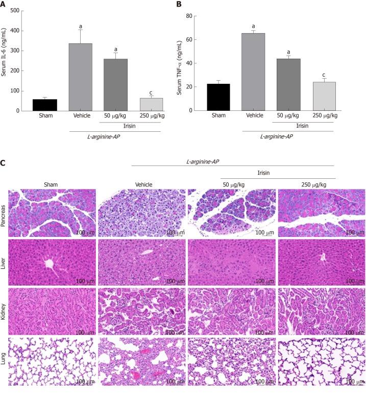 https://cdn.ncbi.nlm.nih.gov/pmc/blobs/04f0/6906211/5ba3828644a9/WJG-25-6653-g006.jpg