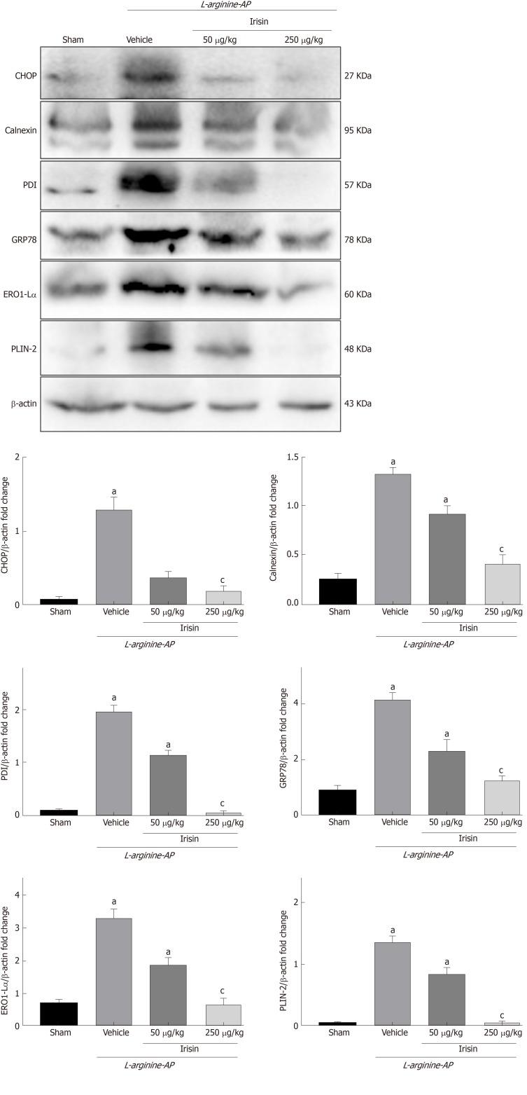 https://cdn.ncbi.nlm.nih.gov/pmc/blobs/04f0/6906211/eb96433a90a8/WJG-25-6653-g005.jpg