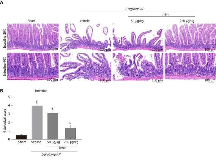 https://cdn.ncbi.nlm.nih.gov/pmc/blobs/04f0/6906211/f63f505f1356/WJG-25-6653-g002.jpg