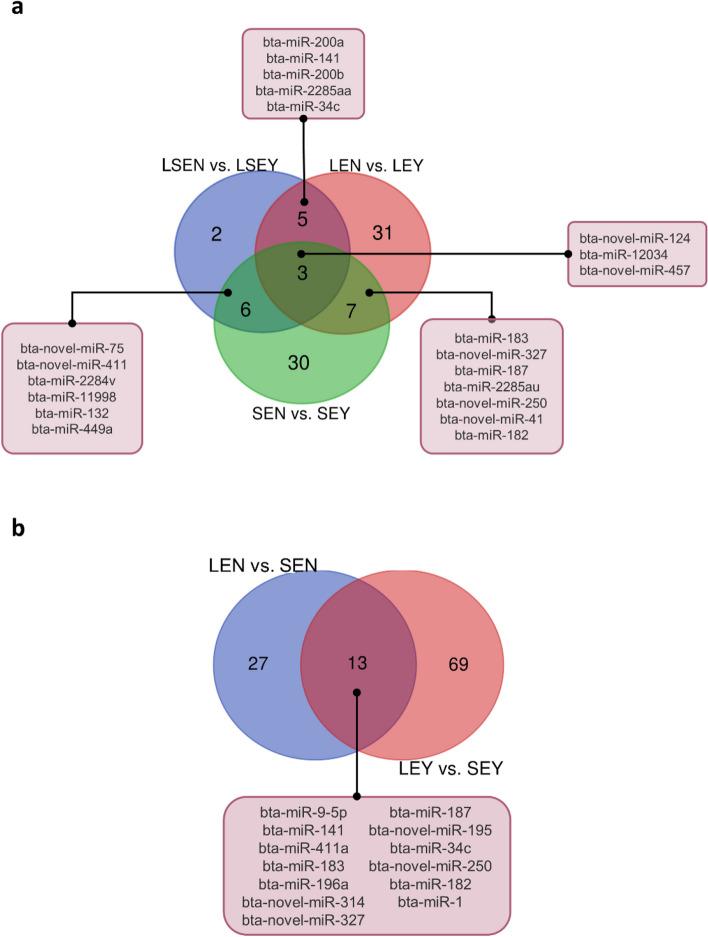 https://cdn.ncbi.nlm.nih.gov/pmc/blobs/04f1/11298084/2c03d9e94d0e/40104_2024_1059_Fig4_HTML.jpg