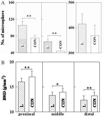 https://cdn.ncbi.nlm.nih.gov/pmc/blobs/04f2/1810364/3f5697c95a0c/nel055f5.jpg