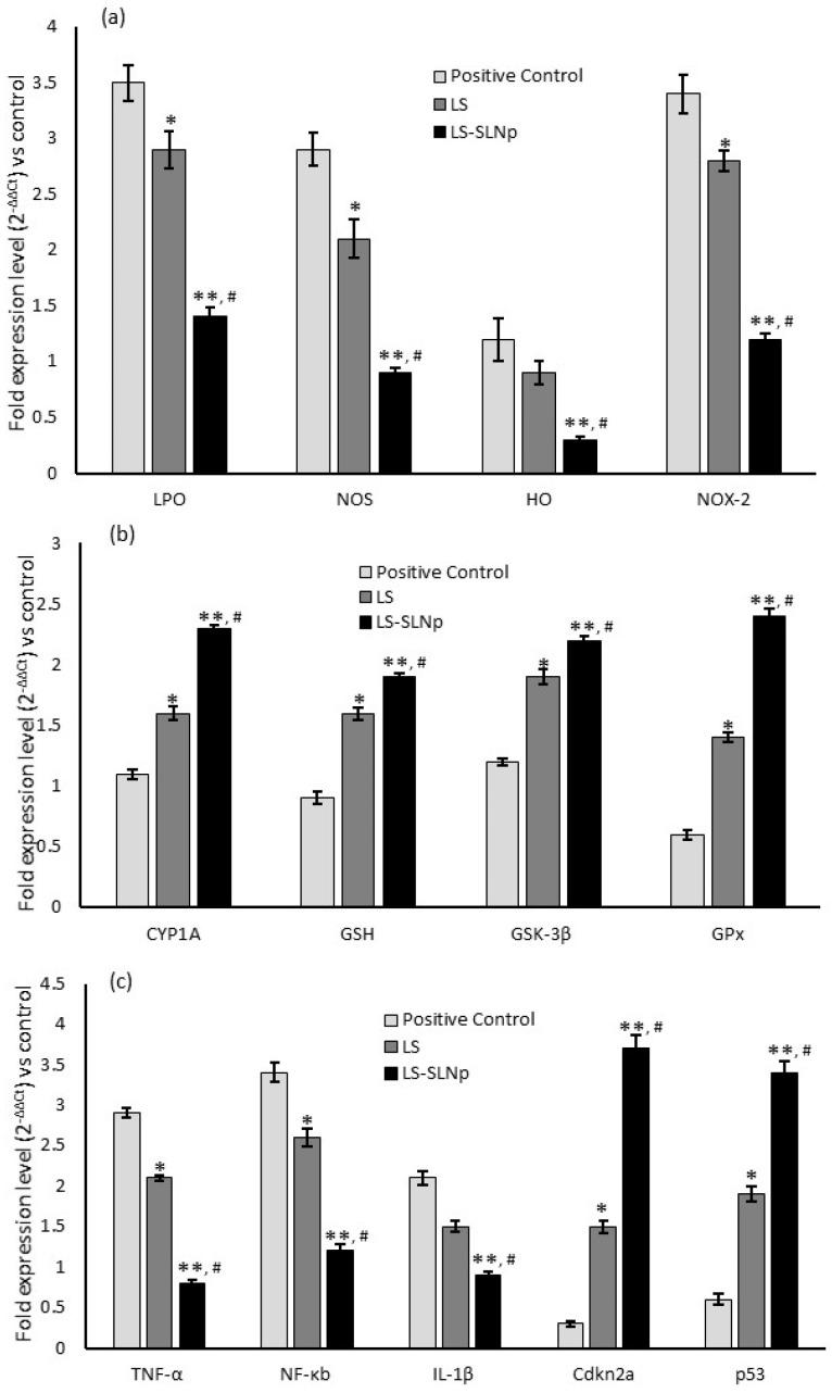 https://cdn.ncbi.nlm.nih.gov/pmc/blobs/04f5/10819627/0787deaf956a/nanomaterials-14-00199-g005.jpg