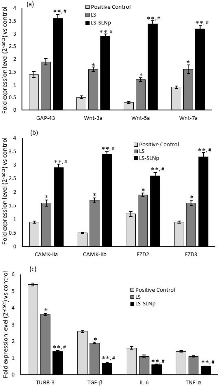 https://cdn.ncbi.nlm.nih.gov/pmc/blobs/04f5/10819627/9a6826213d1b/nanomaterials-14-00199-g006.jpg