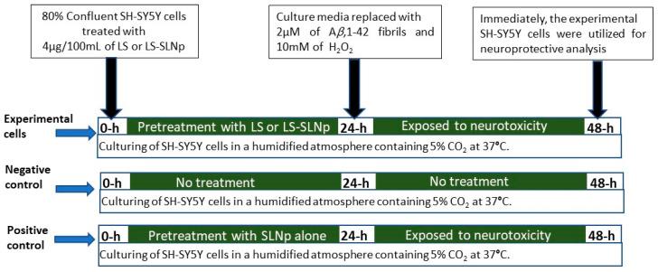 https://cdn.ncbi.nlm.nih.gov/pmc/blobs/04f5/10819627/e447c70e7686/nanomaterials-14-00199-g001.jpg