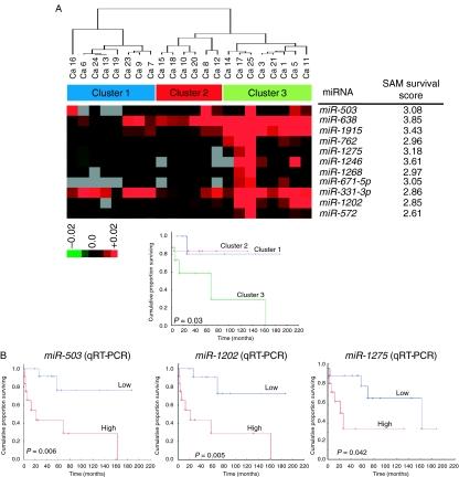 https://cdn.ncbi.nlm.nih.gov/pmc/blobs/04f5/3201061/58f122fc6a66/ERC110082f05.jpg