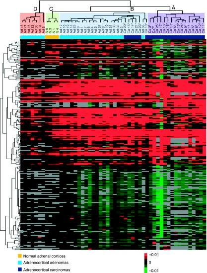https://cdn.ncbi.nlm.nih.gov/pmc/blobs/04f5/3201061/ca916f40bbde/ERC110082f01.jpg