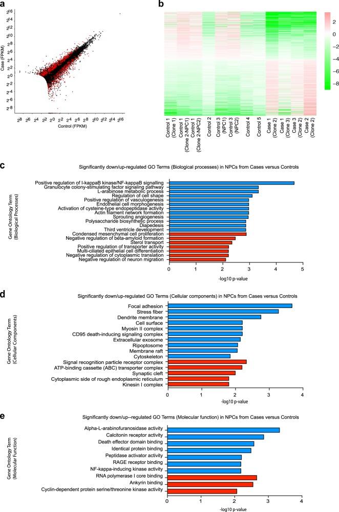 https://cdn.ncbi.nlm.nih.gov/pmc/blobs/04f5/6344377/4eab22c9e533/41380_2018_292_Fig3_HTML.jpg