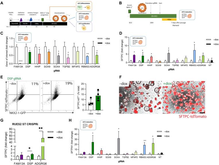 https://cdn.ncbi.nlm.nih.gov/pmc/blobs/04f5/9278866/42ed5a4721d9/sciadv.abo6566-f2.jpg