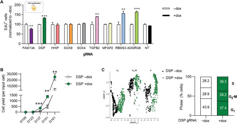 https://cdn.ncbi.nlm.nih.gov/pmc/blobs/04f5/9278866/fd6d41d29911/sciadv.abo6566-f3.jpg