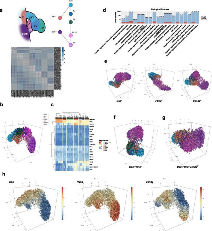 https://cdn.ncbi.nlm.nih.gov/pmc/blobs/04f6/10268514/024d57929338/12859_2023_5355_Fig3_HTML.jpg