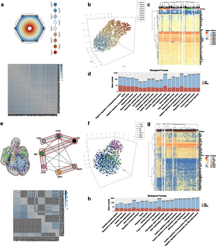 https://cdn.ncbi.nlm.nih.gov/pmc/blobs/04f6/10268514/94eb92d031f8/12859_2023_5355_Fig2_HTML.jpg