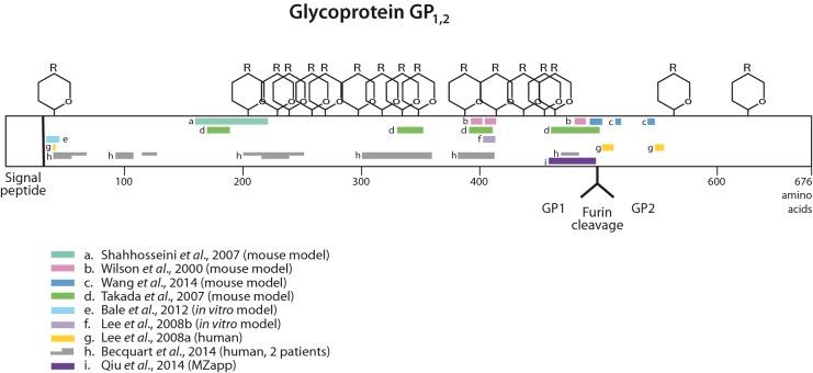 https://cdn.ncbi.nlm.nih.gov/pmc/blobs/04f6/4551310/15f952ed0bd2/fuv031fig8.jpg