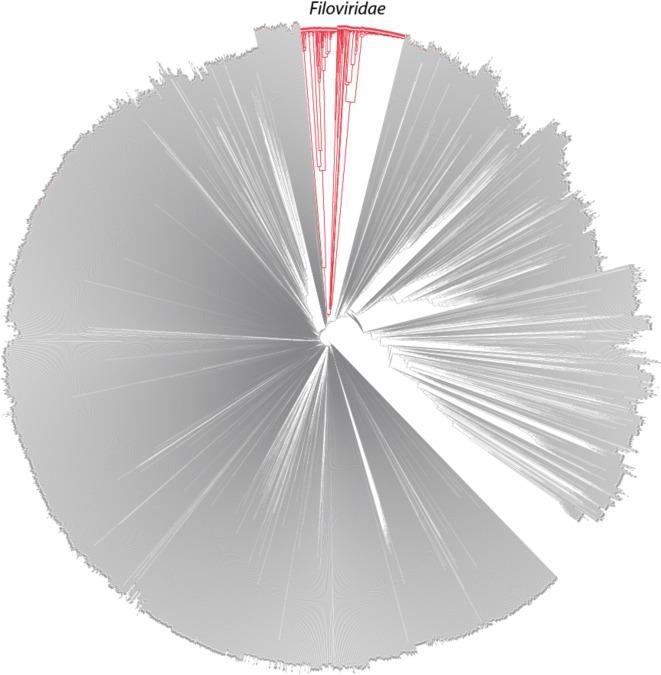 https://cdn.ncbi.nlm.nih.gov/pmc/blobs/04f6/4551310/4b99dd1e6970/fuv031fig1.jpg