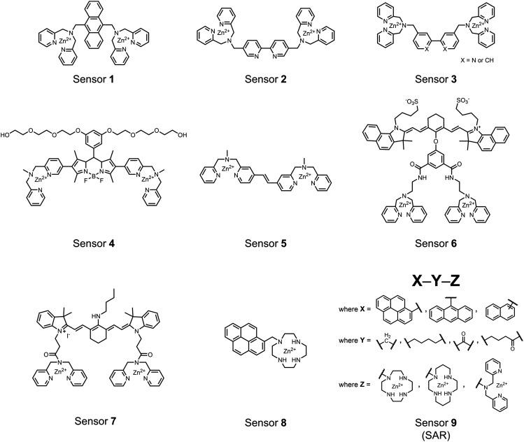 https://cdn.ncbi.nlm.nih.gov/pmc/blobs/04f7/8341930/7c7e46b8564f/d1cb00055a-f3.jpg