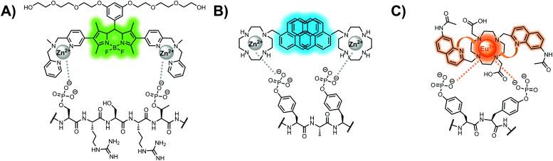 https://cdn.ncbi.nlm.nih.gov/pmc/blobs/04f7/8341930/dbdba83faa85/d1cb00055a-f7.jpg