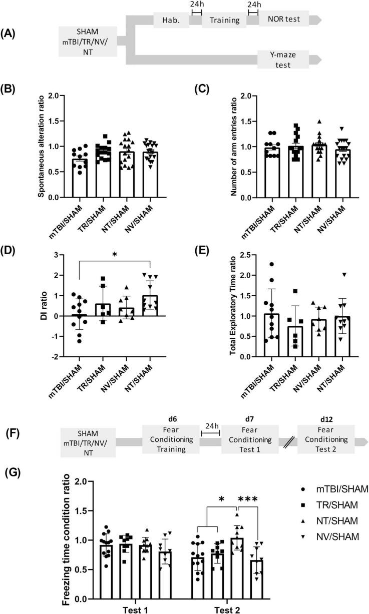 https://cdn.ncbi.nlm.nih.gov/pmc/blobs/04fc/12378785/07491614ca46/fnbeh-19-1638417-g002.jpg