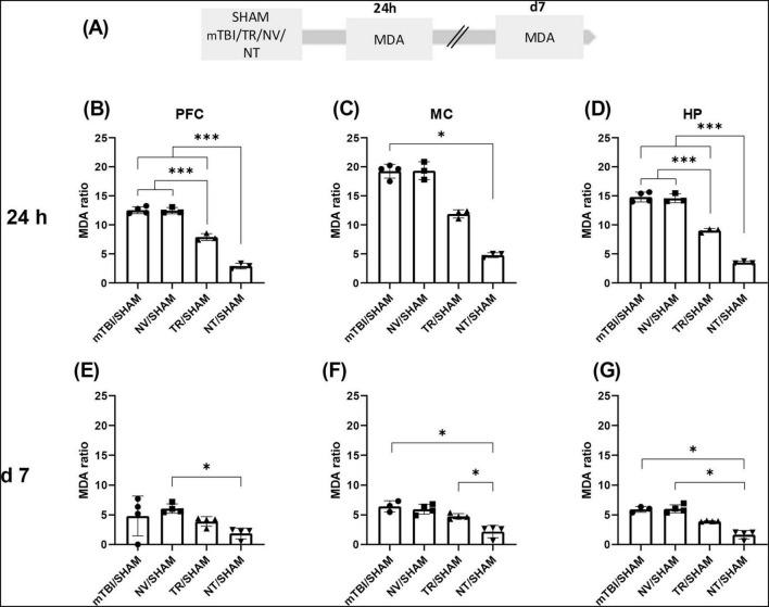 https://cdn.ncbi.nlm.nih.gov/pmc/blobs/04fc/12378785/607a61750042/fnbeh-19-1638417-g004.jpg