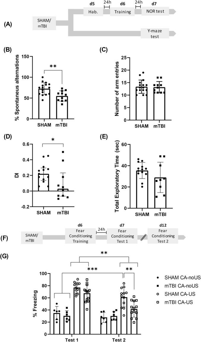 https://cdn.ncbi.nlm.nih.gov/pmc/blobs/04fc/12378785/fab20b0684a4/fnbeh-19-1638417-g001.jpg