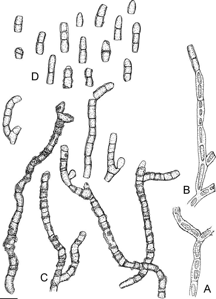 https://cdn.ncbi.nlm.nih.gov/pmc/blobs/04fe/7225685/9a834db72003/fuse-2018-2-6-g049.jpg