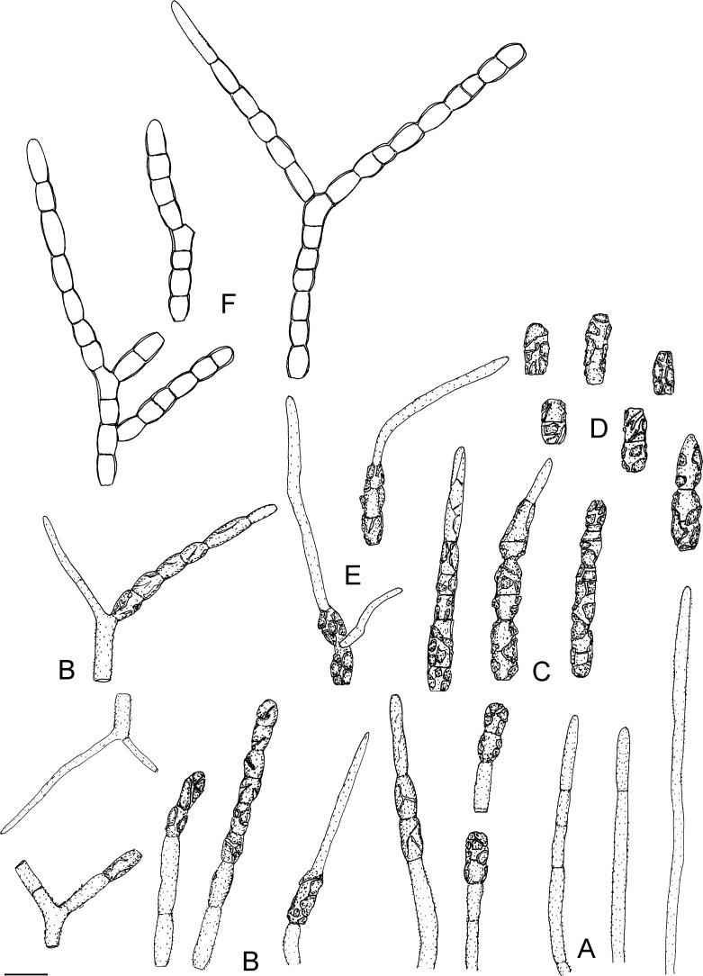 https://cdn.ncbi.nlm.nih.gov/pmc/blobs/04fe/7225685/9c94cb1f365f/fuse-2018-2-6-g053.jpg