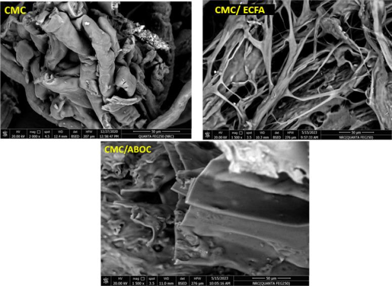 https://cdn.ncbi.nlm.nih.gov/pmc/blobs/0501/12335502/967c43d6b714/41598_2025_14146_Fig5_HTML.jpg