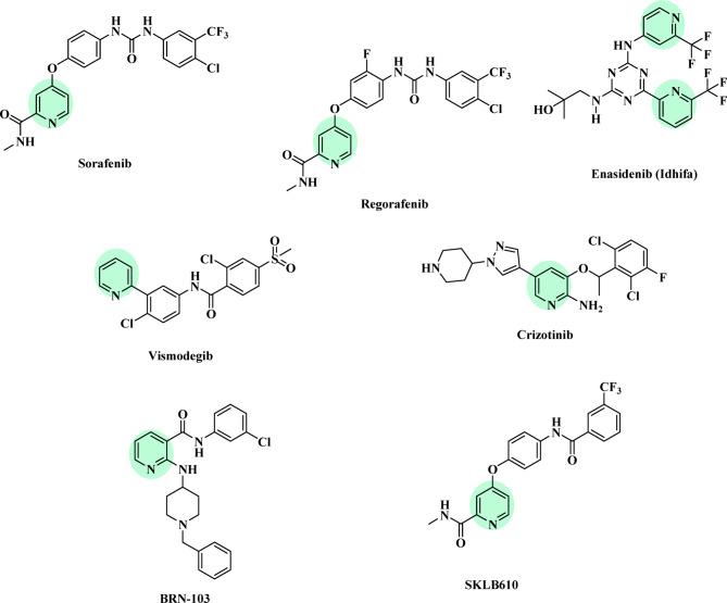 https://cdn.ncbi.nlm.nih.gov/pmc/blobs/0501/12335502/dbbb06a844f3/41598_2025_14146_Fig1_HTML.jpg
