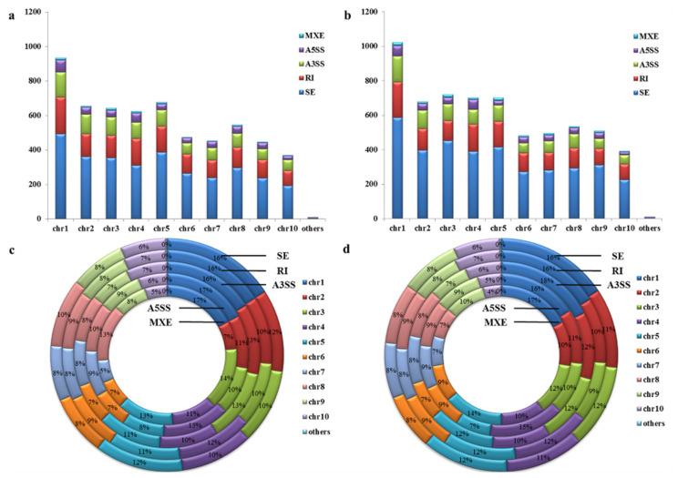 https://cdn.ncbi.nlm.nih.gov/pmc/blobs/0501/8955601/c47dec5bfc82/genes-13-00456-g001.jpg