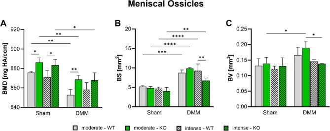 https://cdn.ncbi.nlm.nih.gov/pmc/blobs/0502/12181913/802e7d7d8ae6/13075_2025_3589_Fig3_HTML.jpg