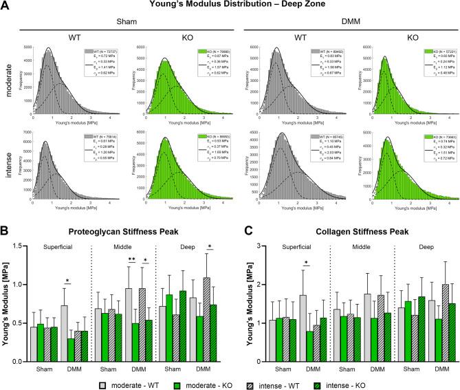 https://cdn.ncbi.nlm.nih.gov/pmc/blobs/0502/12181913/bb6ac5402a60/13075_2025_3589_Fig2_HTML.jpg