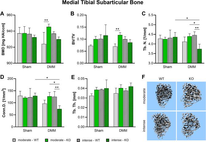 https://cdn.ncbi.nlm.nih.gov/pmc/blobs/0502/12181913/d41204ce3e5d/13075_2025_3589_Fig6_HTML.jpg