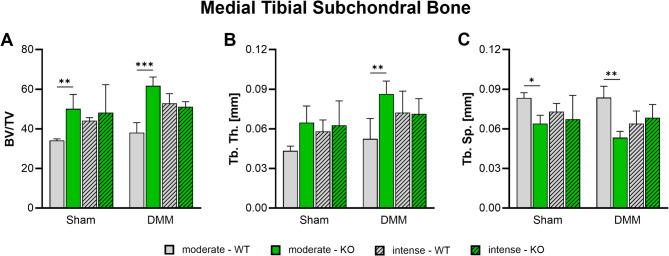 https://cdn.ncbi.nlm.nih.gov/pmc/blobs/0502/12181913/de080e2f95a8/13075_2025_3589_Fig5_HTML.jpg