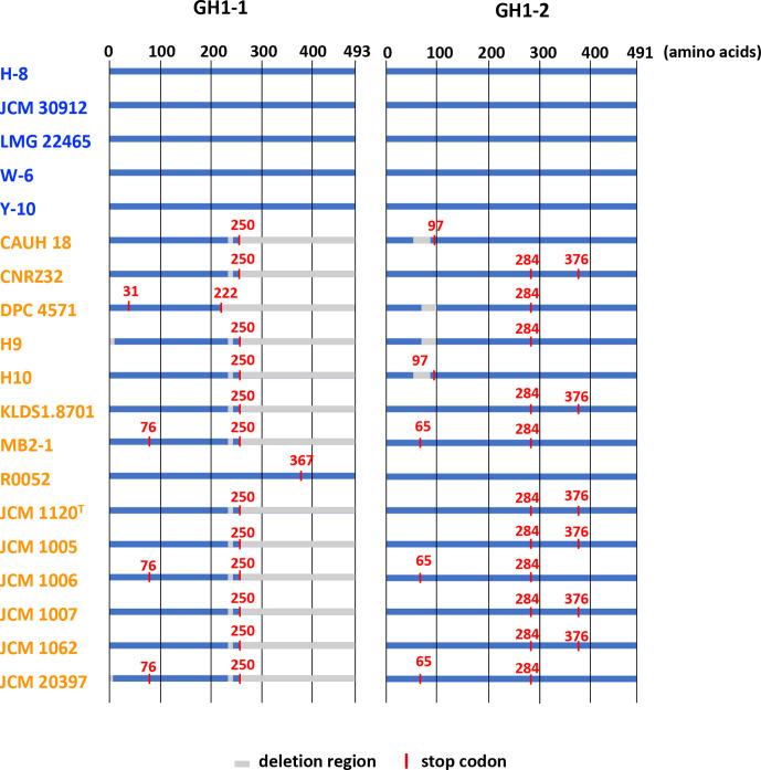 https://cdn.ncbi.nlm.nih.gov/pmc/blobs/0502/8208680/d6b7b344000b/mgen-7-0560-g0010.jpg
