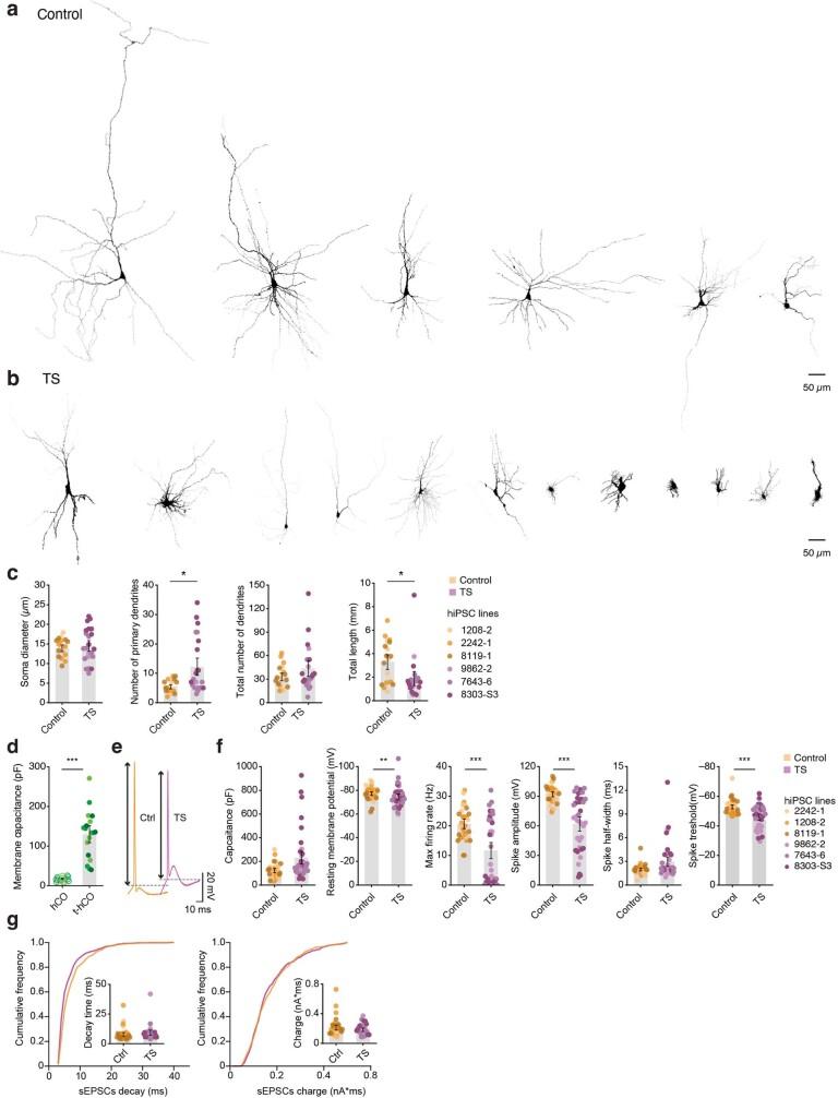 https://cdn.ncbi.nlm.nih.gov/pmc/blobs/0502/9556304/3c9fc057b71d/41586_2022_5277_Fig13_ESM.jpg