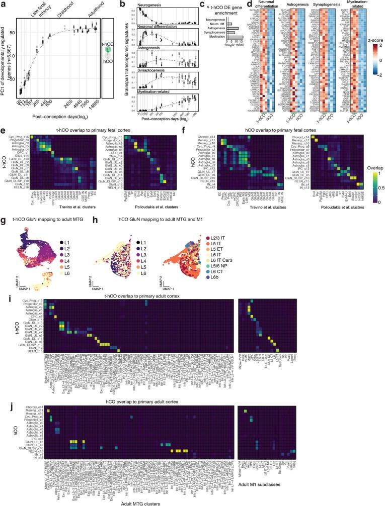 https://cdn.ncbi.nlm.nih.gov/pmc/blobs/0502/9556304/3fca313b4dca/41586_2022_5277_Fig10_ESM.jpg