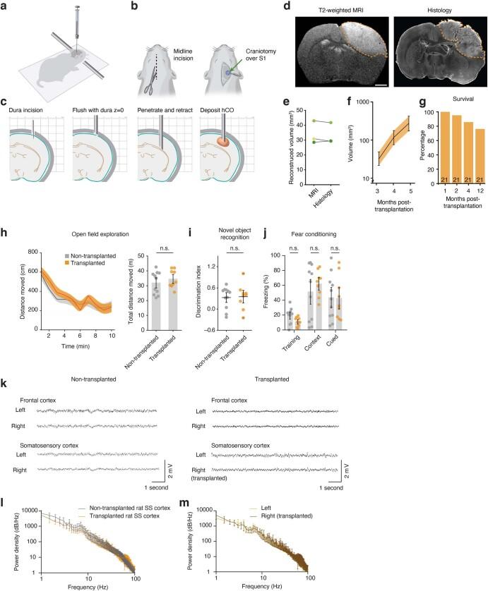 https://cdn.ncbi.nlm.nih.gov/pmc/blobs/0502/9556304/564c4494a2e9/41586_2022_5277_Fig6_ESM.jpg