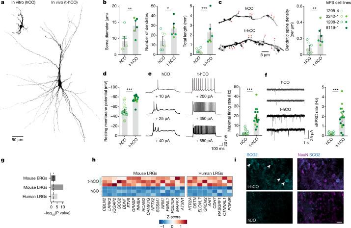 https://cdn.ncbi.nlm.nih.gov/pmc/blobs/0502/9556304/c01ef767acb3/41586_2022_5277_Fig2_HTML.jpg