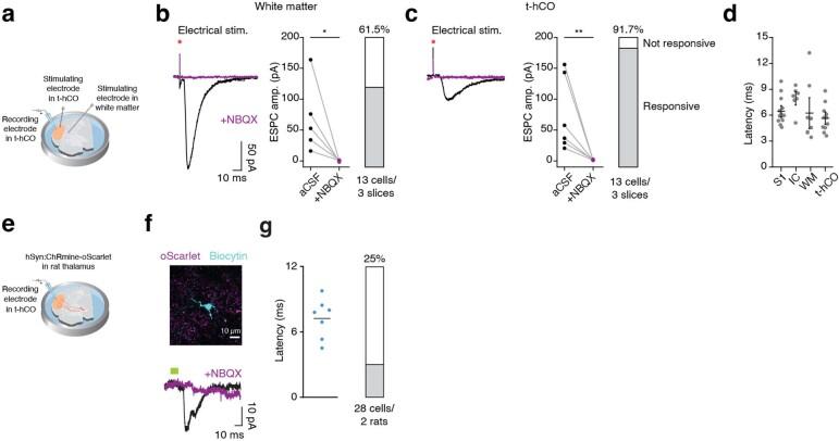 https://cdn.ncbi.nlm.nih.gov/pmc/blobs/0502/9556304/c22beb116bd0/41586_2022_5277_Fig14_ESM.jpg