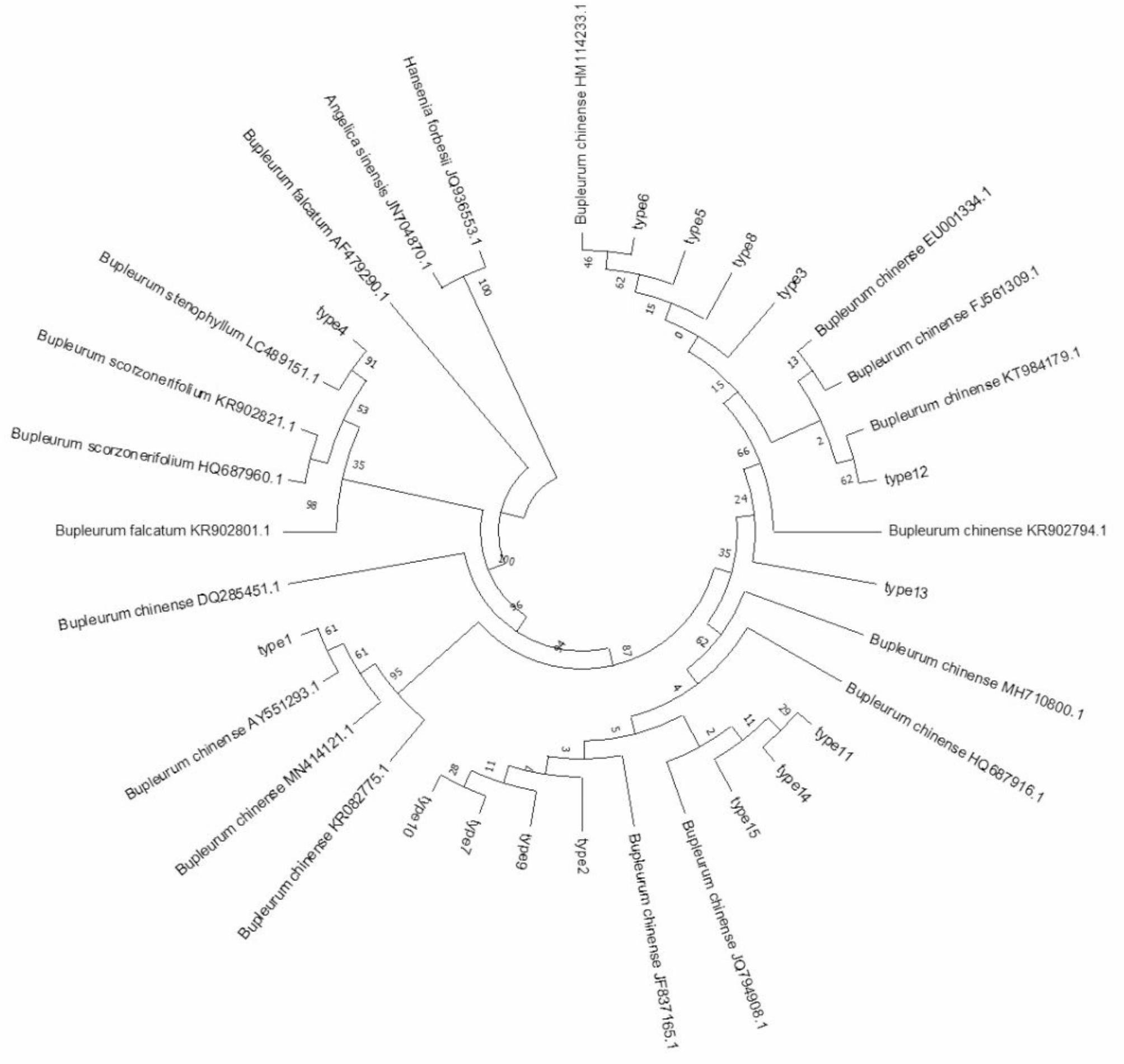 https://cdn.ncbi.nlm.nih.gov/pmc/blobs/0503/12032701/c424dbb5fed1/12870_2025_6479_Fig2_HTML.jpg