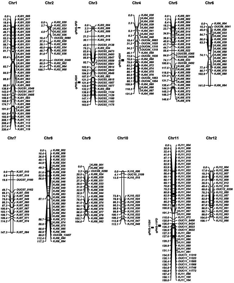 https://cdn.ncbi.nlm.nih.gov/pmc/blobs/0508/7391406/f6deb75dfd96/438_2020_1688_Fig2_HTML.jpg
